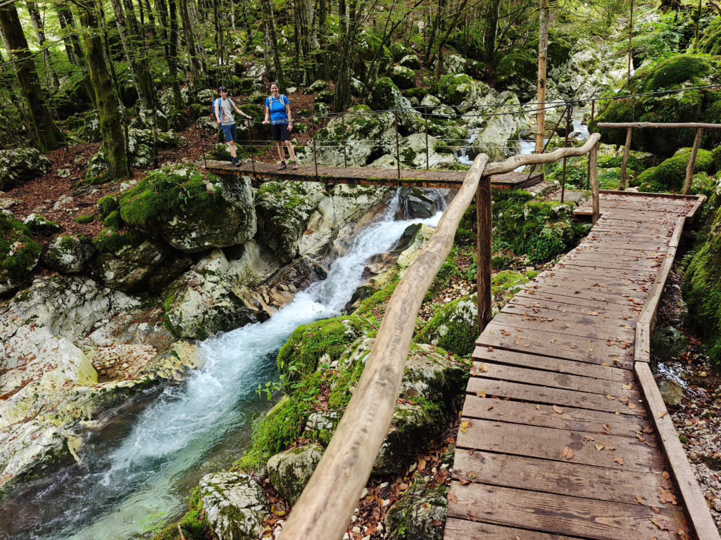 Der Wandersteig führt durch den Šunik Wasserhain