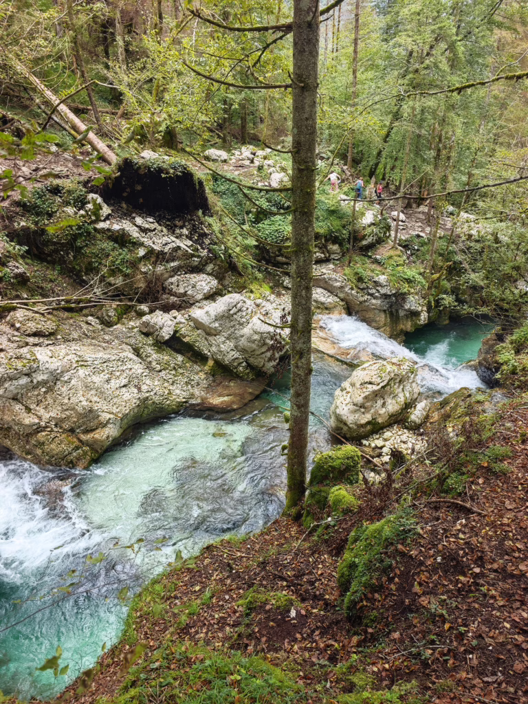 Šunik Wasserhain