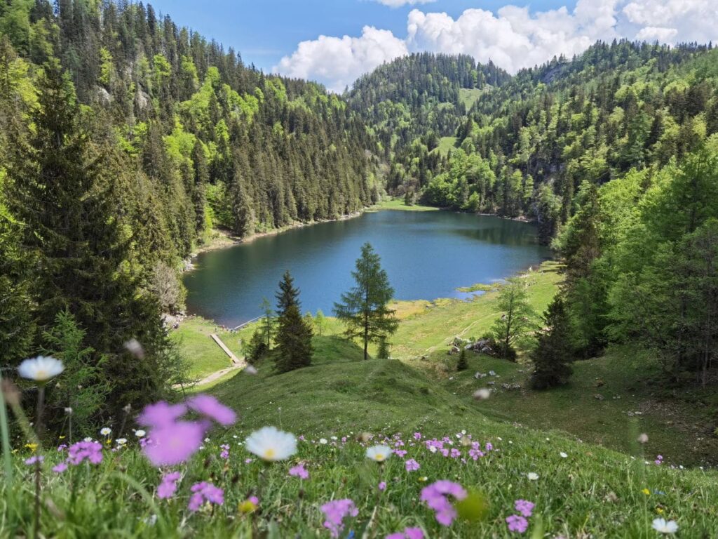 Traumziel in Kössen mit Kindern - der Taubensee in den Chiemgauer Alpen