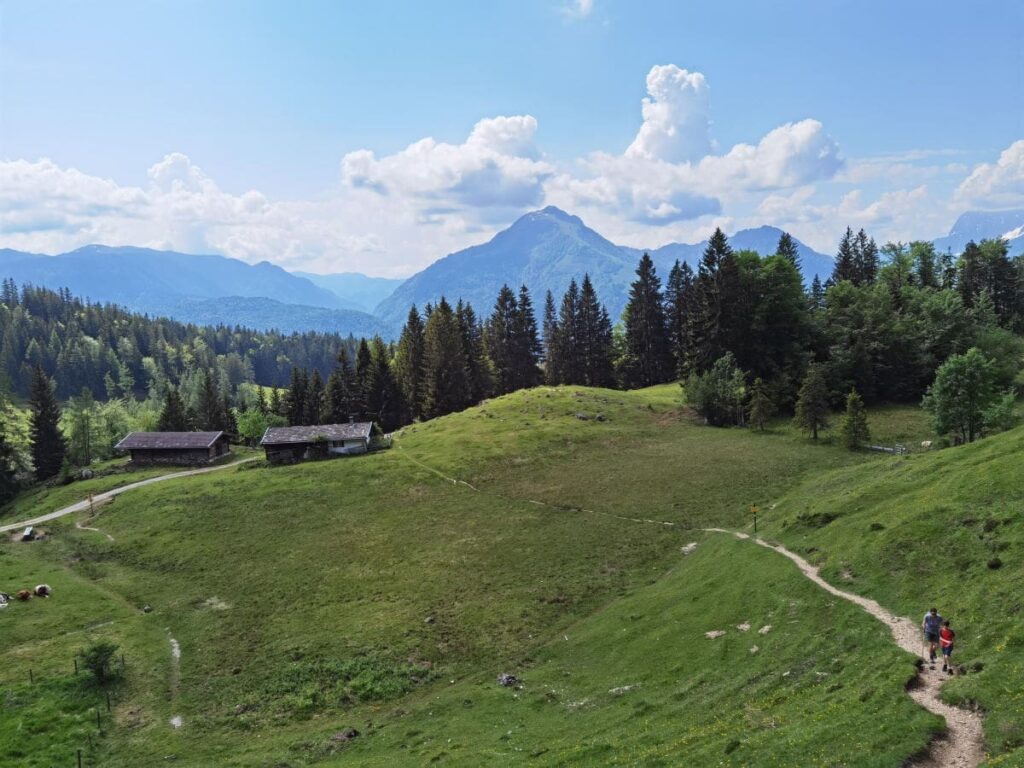 Familienurlaub Walchsee - über diese Alm geht es Richtung Taubensee