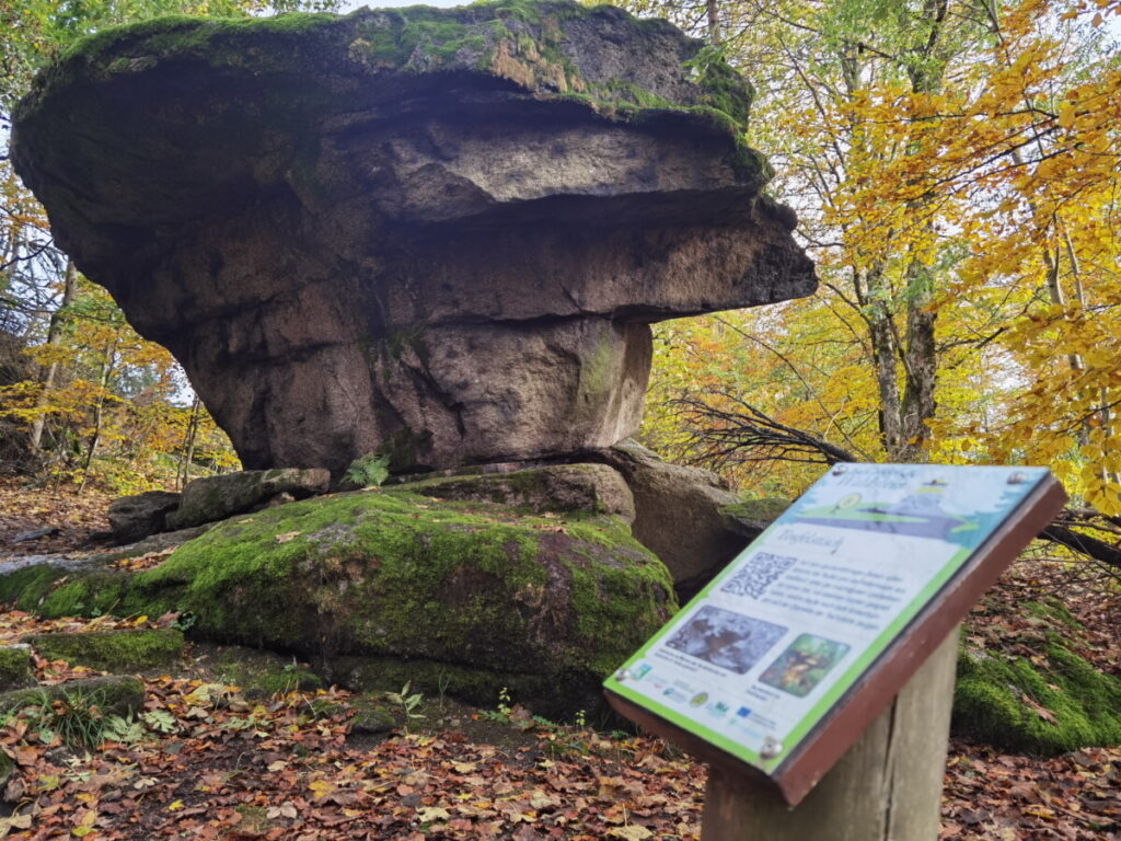 Fichtelgebirge wandern