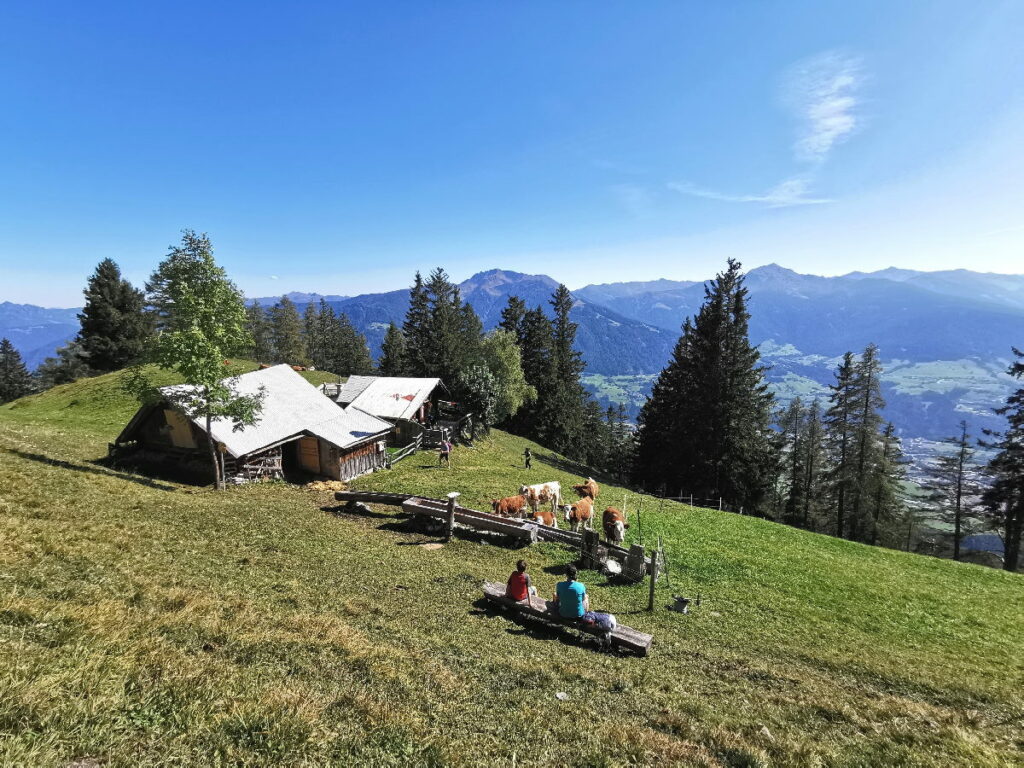 Tirol wandern mit Kindern - die Waldhorbalm