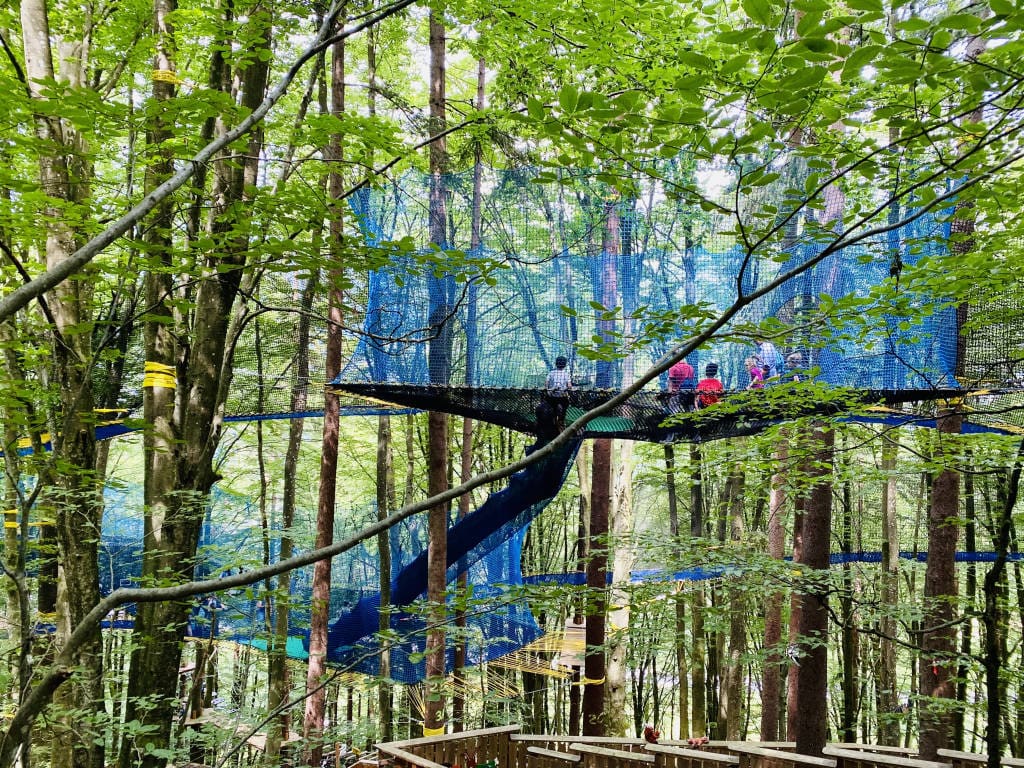 Exklusiv nur hier im Familywald Ossiacher See: Überdimensionale Netze in den Bäumen, die sogenannten Treenets