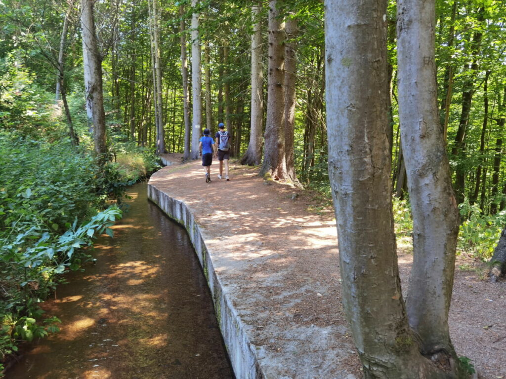 Oberhalb vom Trusetaler Wasserfall führt der Wanderweg entlang des Wassergrabens