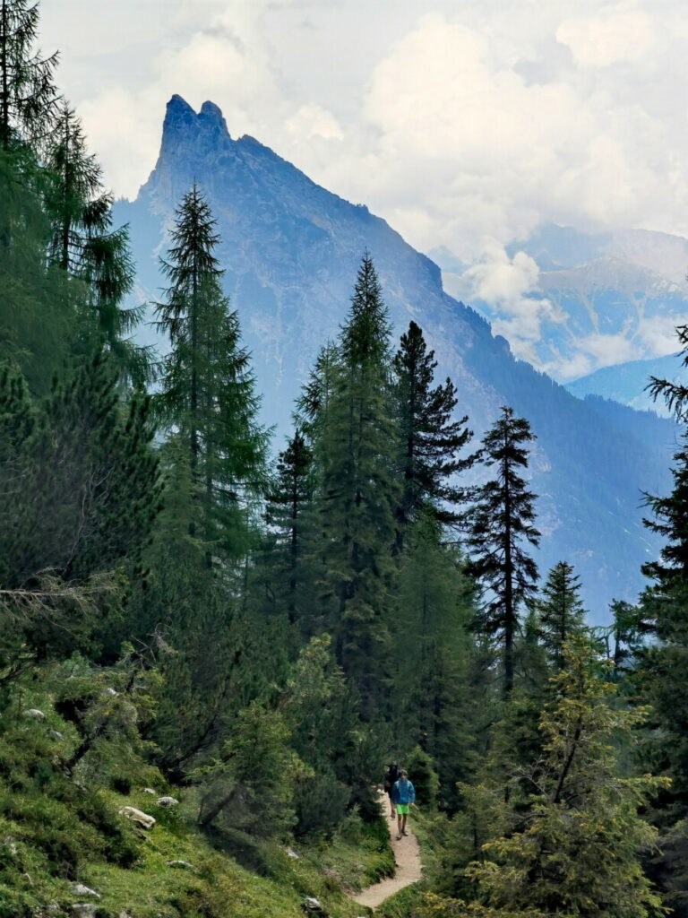 Geheimtipp für deine Wanderung im Bauernhofurlaub Südtirol: Von Brückele zur Plätzerwiese, umringt von den Dolomiten