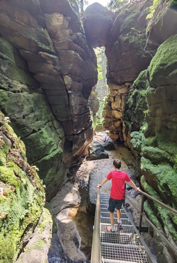 Uttewalder Grund Teufelsschlucht - ein Wanderparadies!