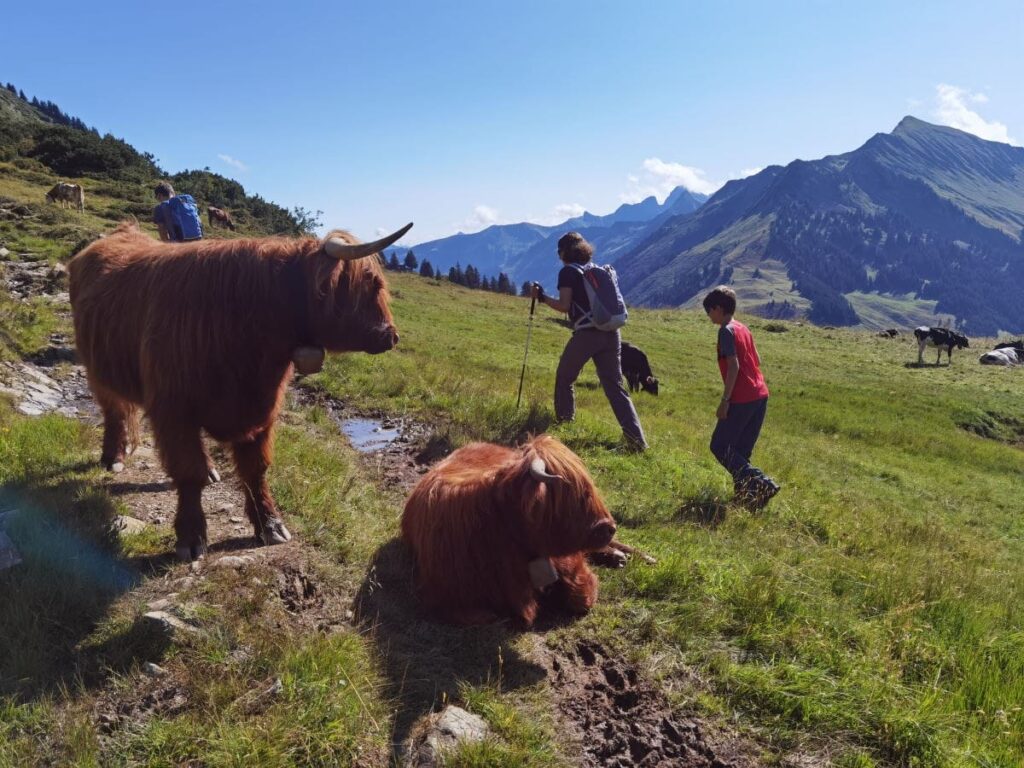 In Vorarlberg wandern mit Kindern zur Sünser Spitze