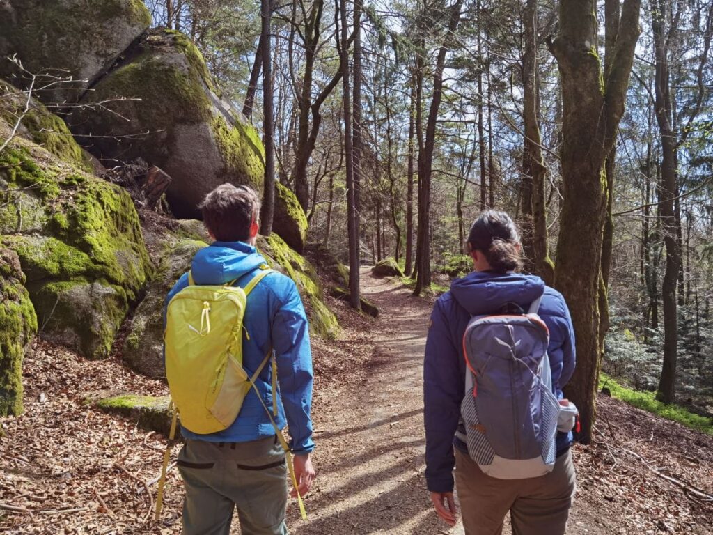 Auf dem Rückweg unserer Wackelstein Rundwanderung