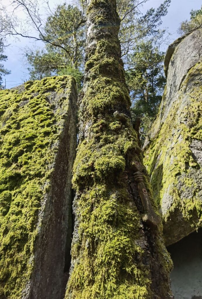 Wackelstein Rundwanderung