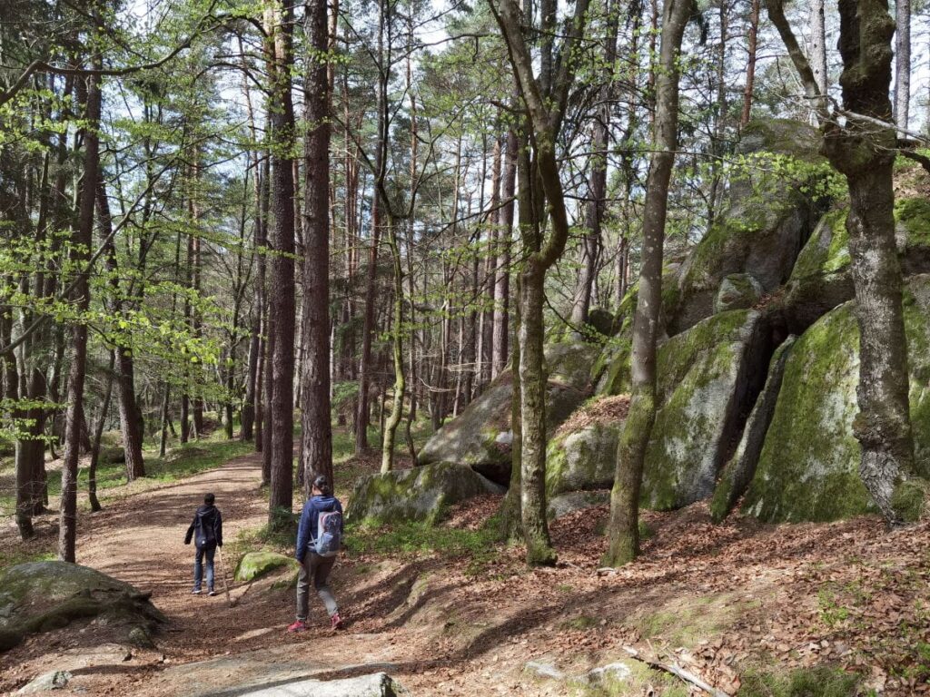 So verläuft die Wackelstein Wanderung in Richtung Steinernes Kirchlein