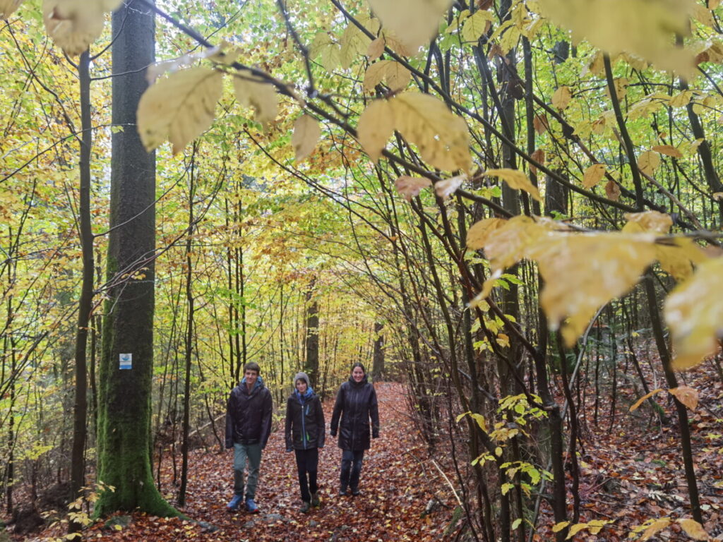 Im Fichtelgebirge bei Regen wandern - und die Herbstimmung in aller Ruhe erleben