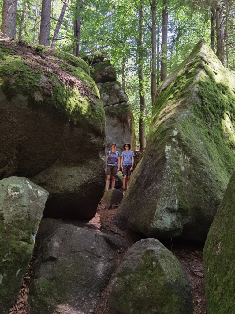 Wanderung Höllbachtal - die schönste Ecke