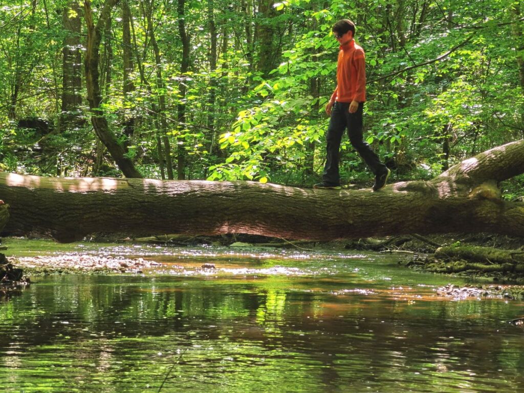 Wandern mit Kindern Münchner Umland - durch die wildromantische Maisinger Schlucht