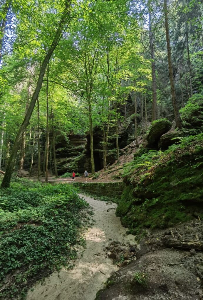 Durch den Wald in der Sächsischen Schweiz wandern mit Kindern