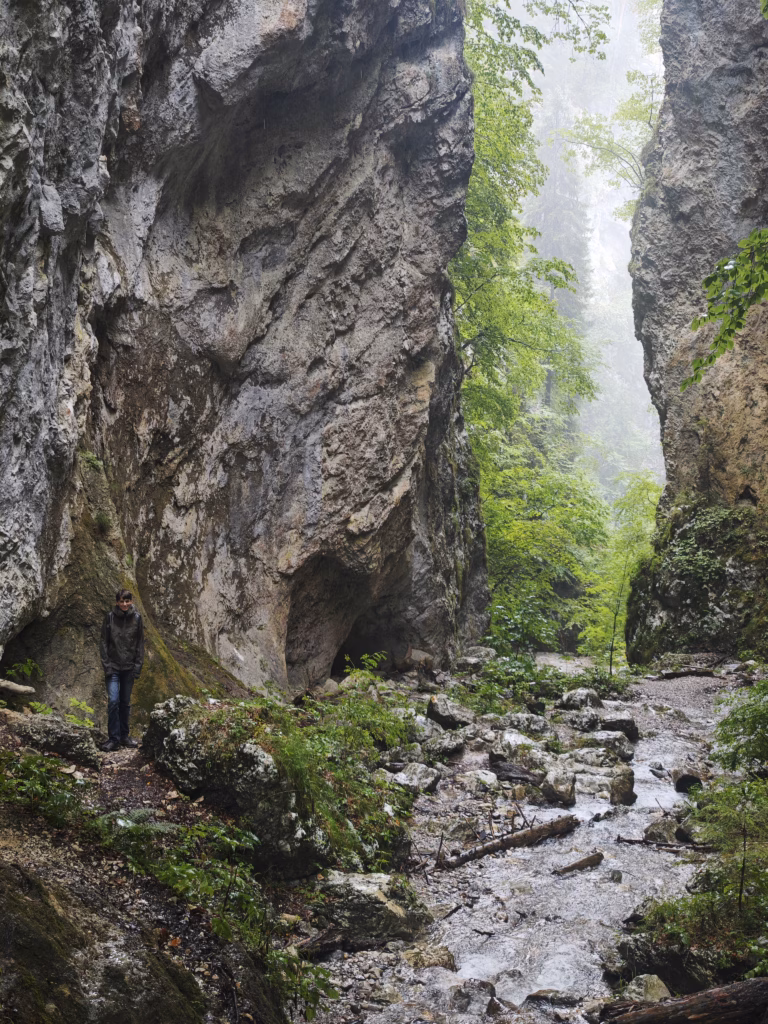 Im oberen Bereich der Weißenbachklamm rücken die Felsen dicht zusammen