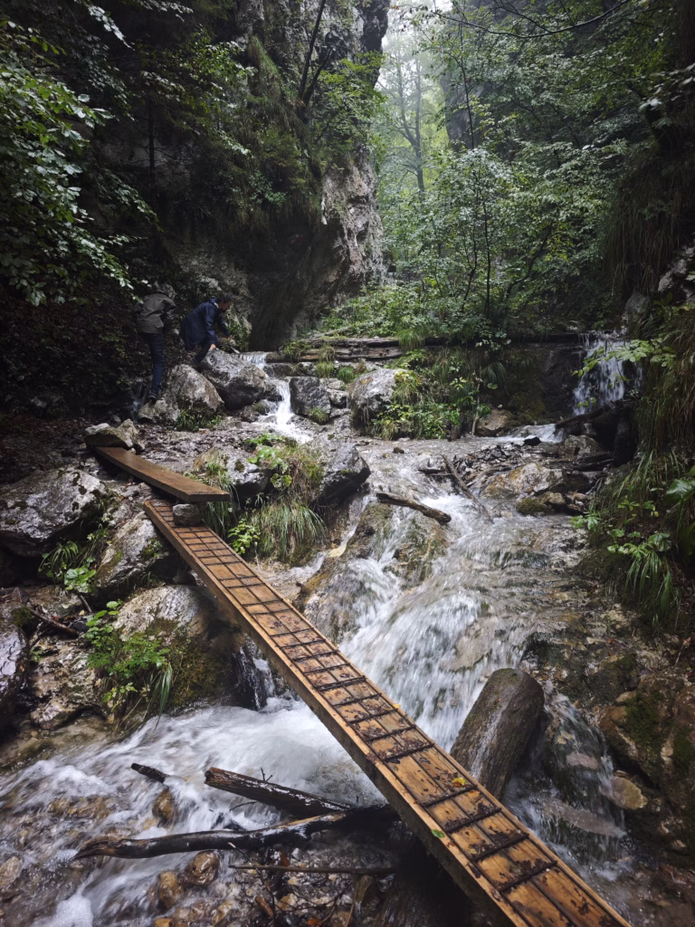 Über schmale Holzstege führt die Wanderung in die Weißenbachklamm hinein