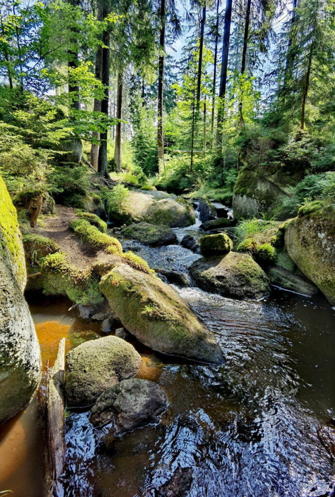 Fichtelgebirge wandern mit Kindern