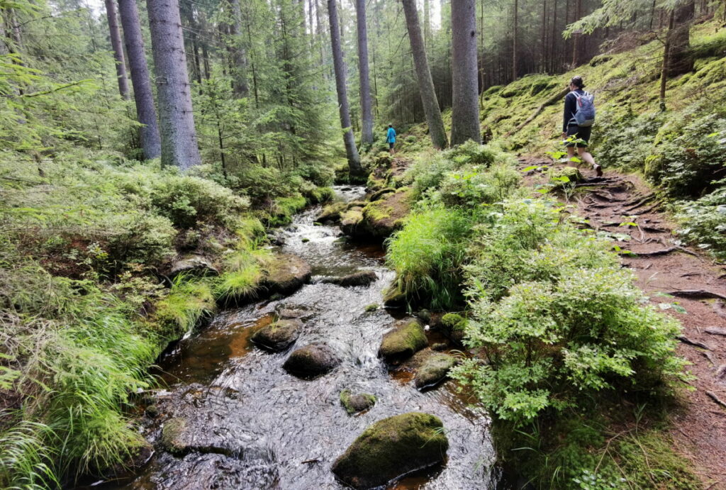 Idyllisch im Fichtelgebirge wandern mit Kindern - entlang des Weißen Main durch den Wald