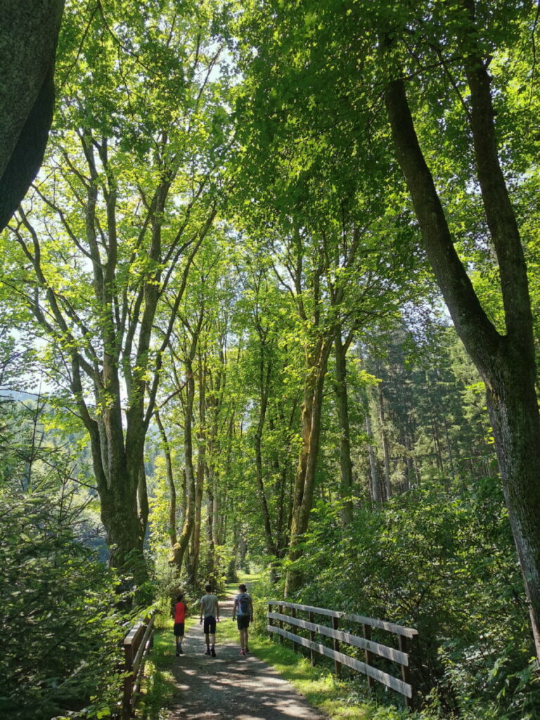 Spaziergang durch das Weitental in Bruck an der Mur