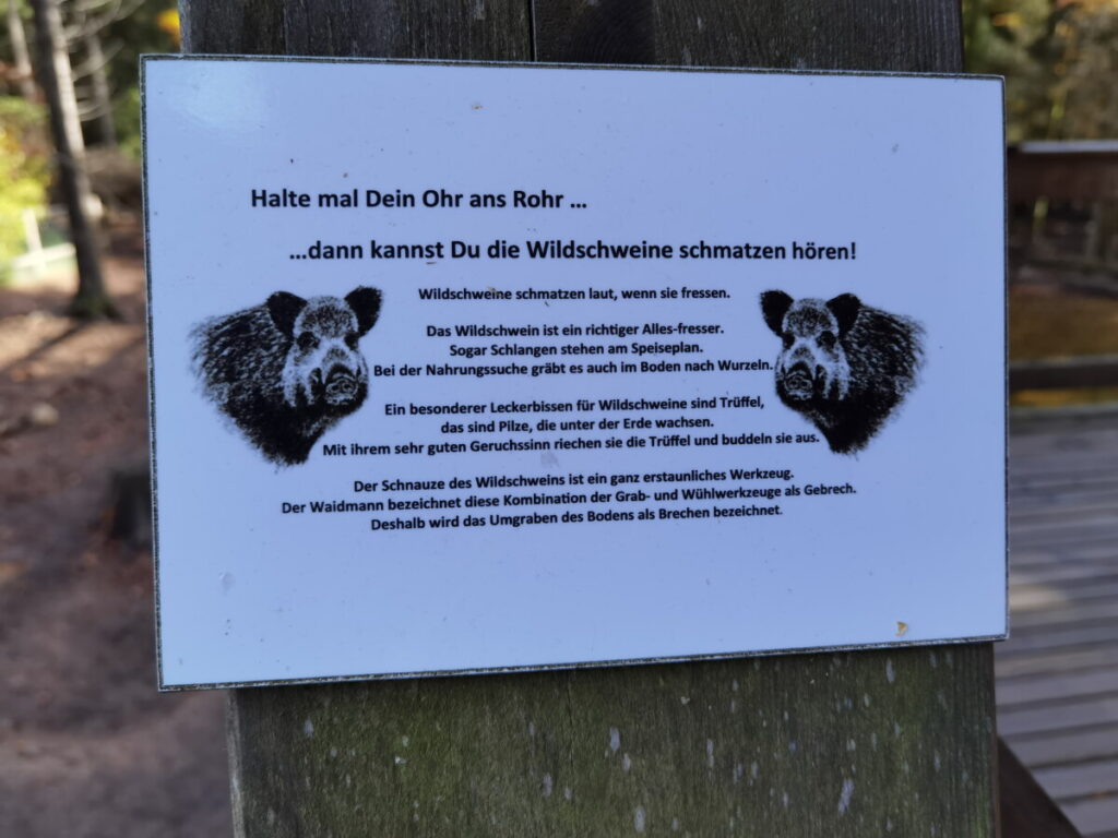 Besuch die Wildscheine im Wildpark Mehlmeisel - und höre ihnen beim Schmatzen zu!