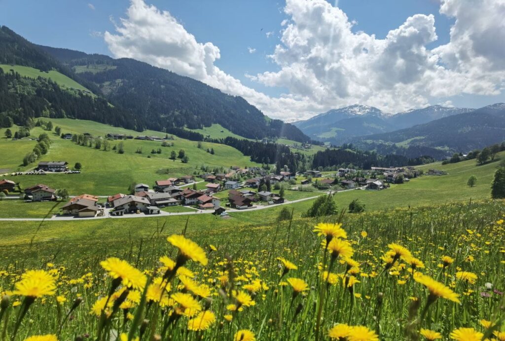 Bergsommer in der Wildschönau - ideal für einen Familienurlaub in der Natur!