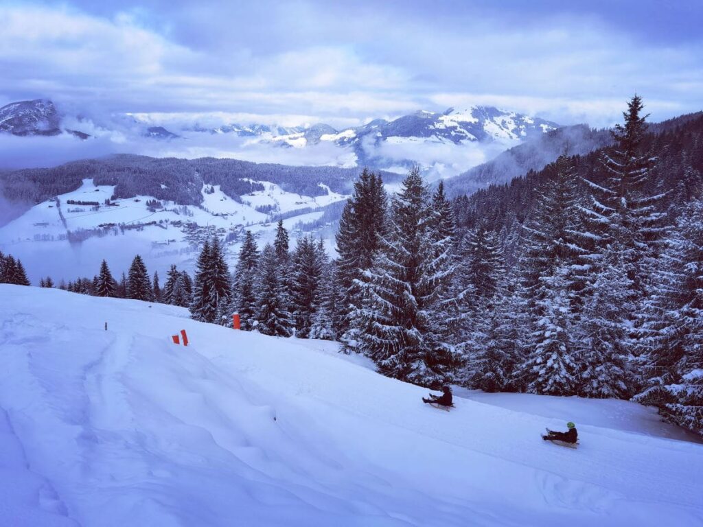 klassische Rodelbahn Tirol - in der Wildschönau am Lanerköpfl