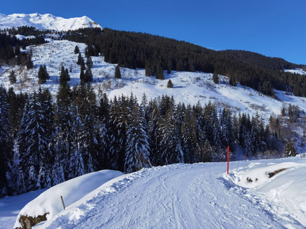 Schönangeralm