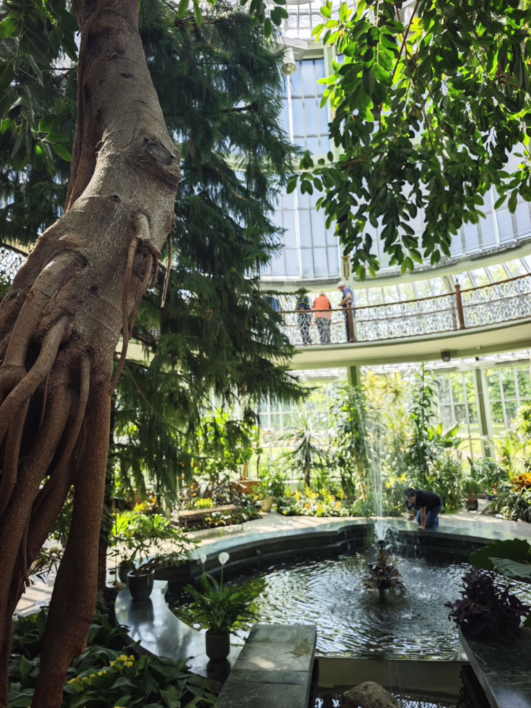 Beeindruckender Wintergarten im Herrenhaus von Kretinga
