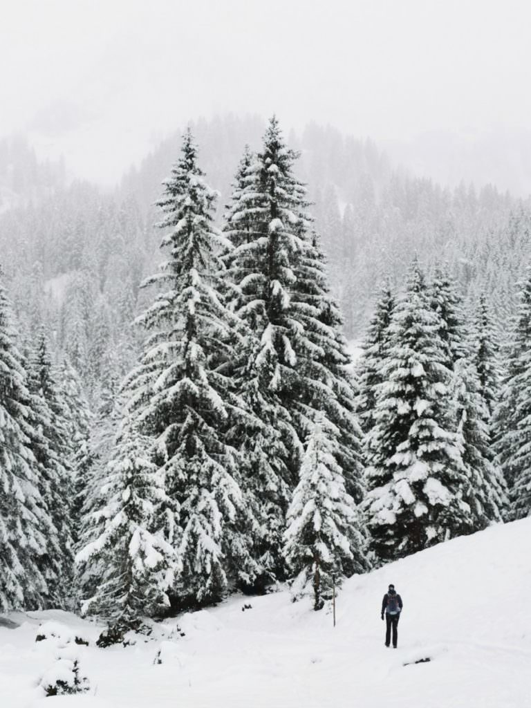 Winterwandern Kleinwalsertal - so schön mit Neuschnee!