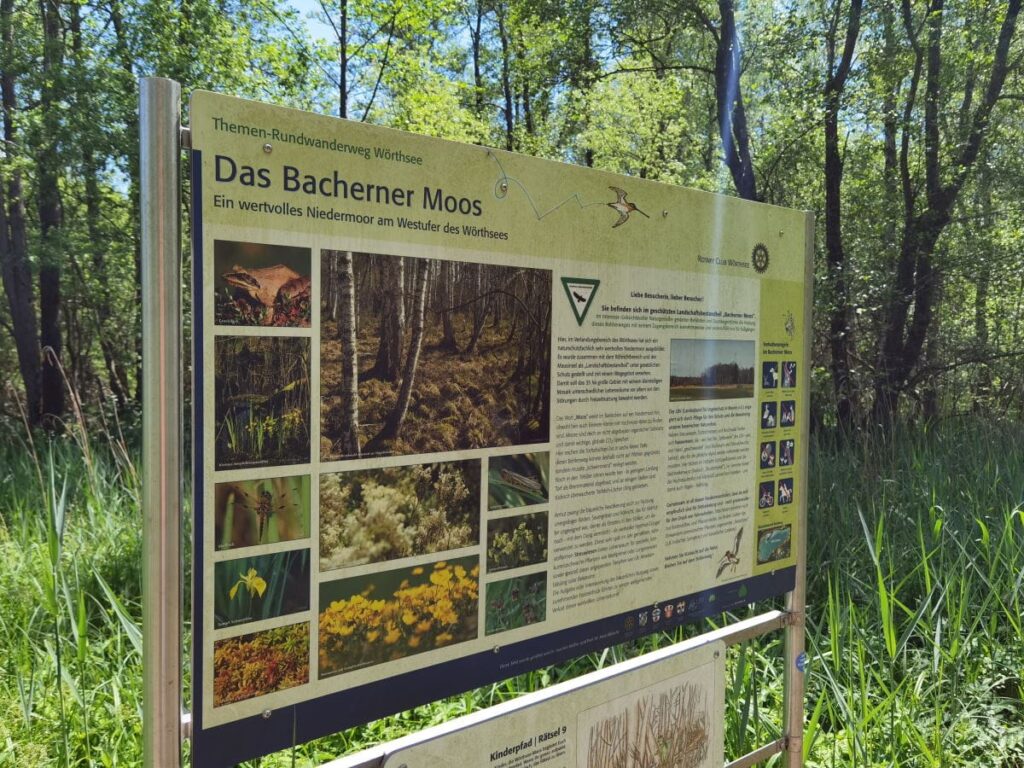 Ausflugstipp Bacherner Moos am Wörthsee - der Bohlenweg ist der Zugang