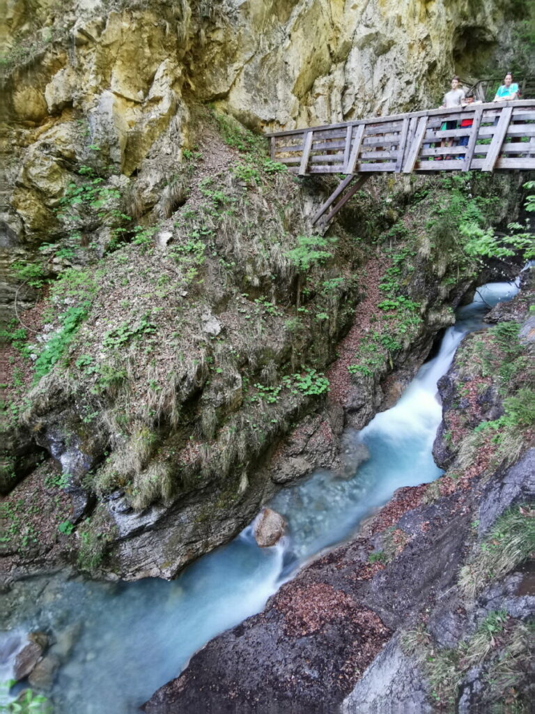 Blick von der obersten Brücke in die Schlucht