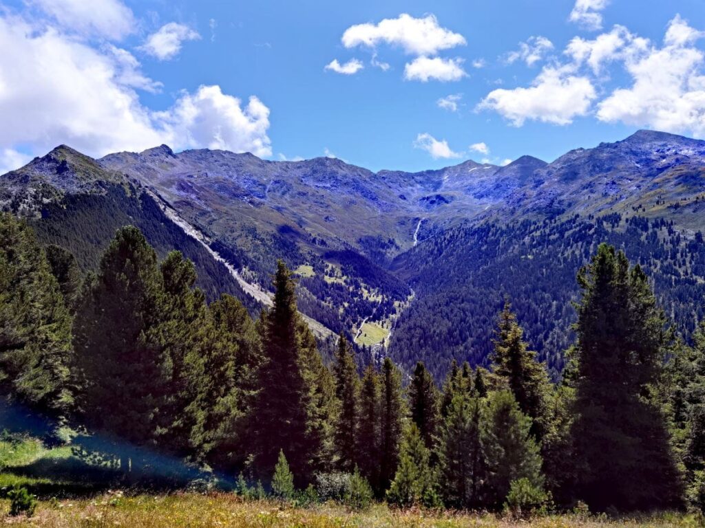 Zirbenweg Innsbruck mit dem Blick in die Tuxer Alpen