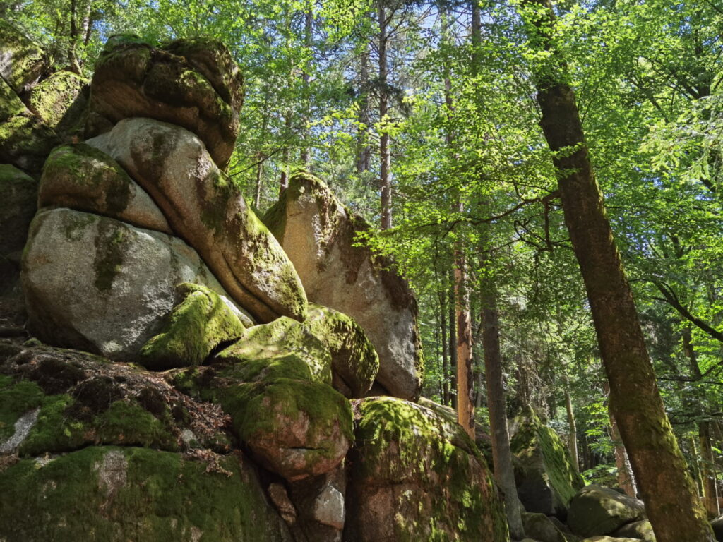 Hölle Regensburg - die Felsblöcke im Naturschutzgebiet Höllbachtal