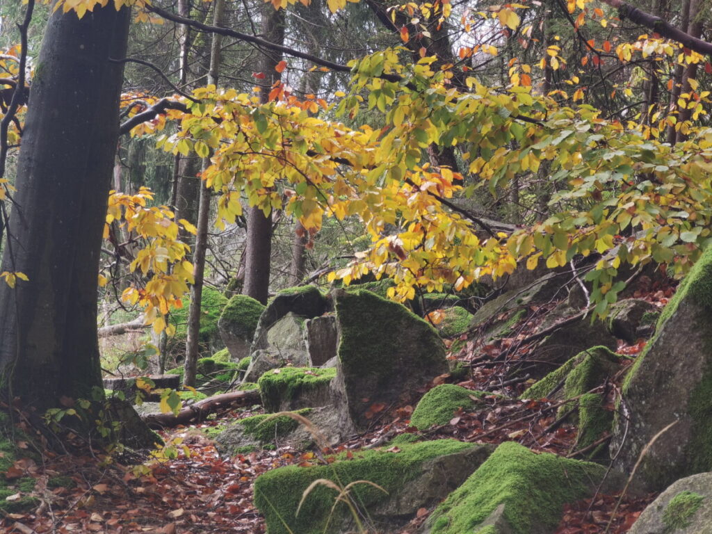 wandern Fichtelgebirge