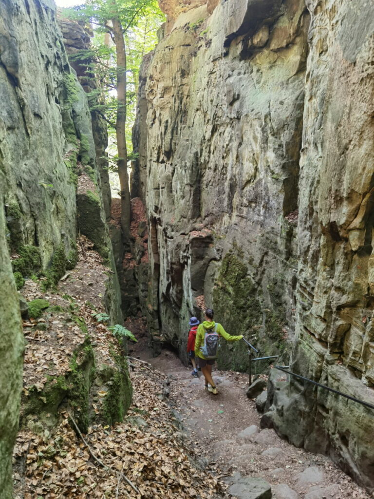 Atemberaubend wandern in der Eifel mit Kindern - hier in der Südeifel